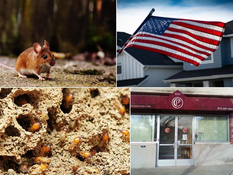 Corbett Exterminating