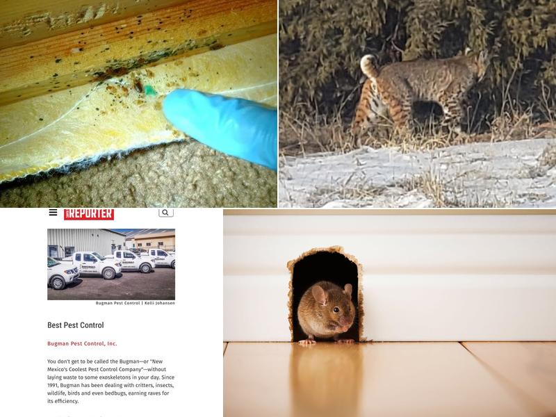 Bugman Pest Control, Inc.