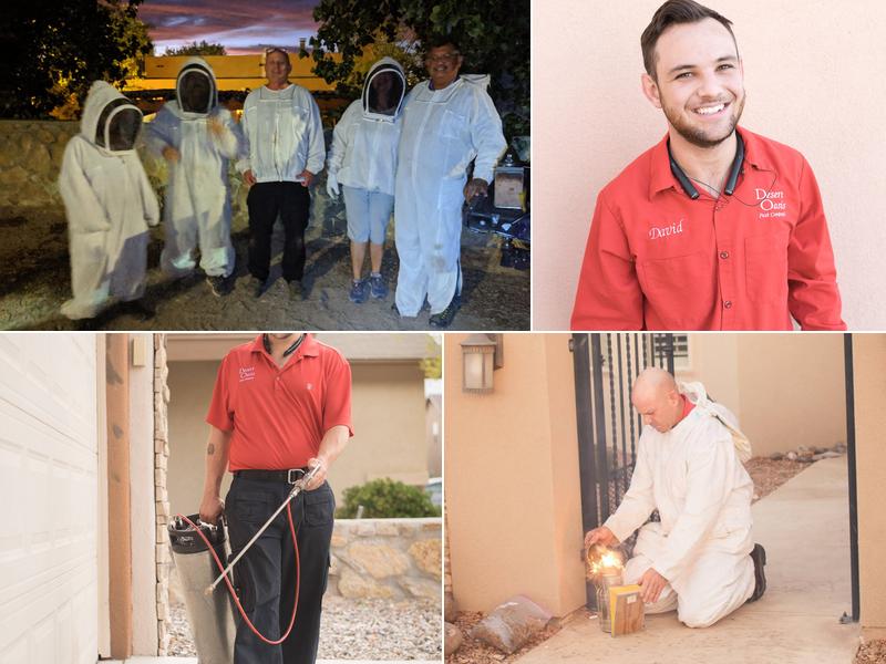 Desert Oasis Pest Control & Prevention