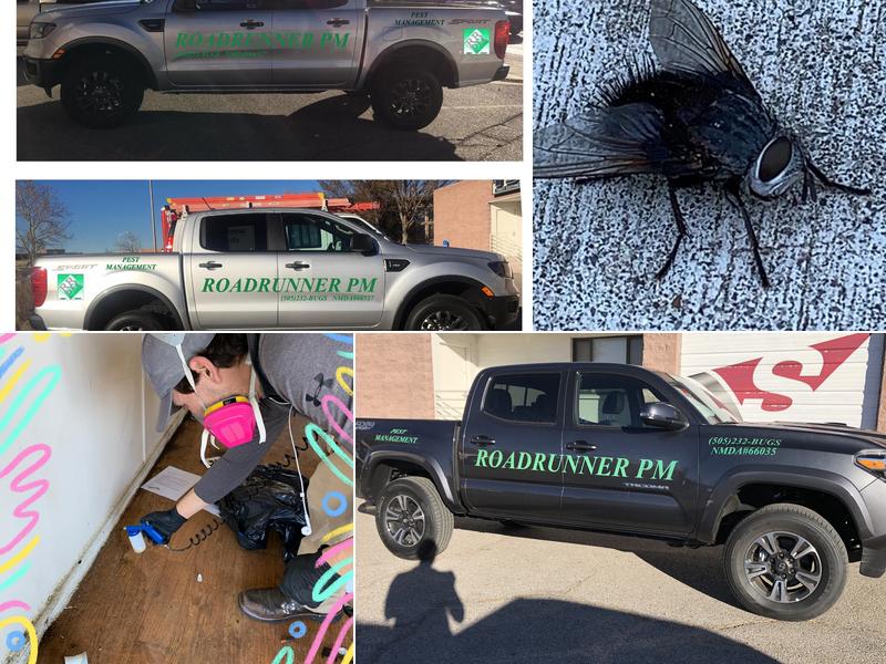 Roadrunner Pest Management