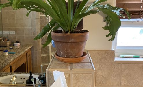 Eagle Eye Exterminating