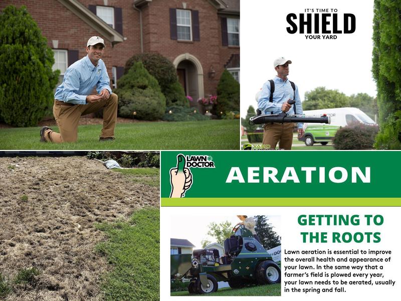 Lawn Doctor of Albuquerque