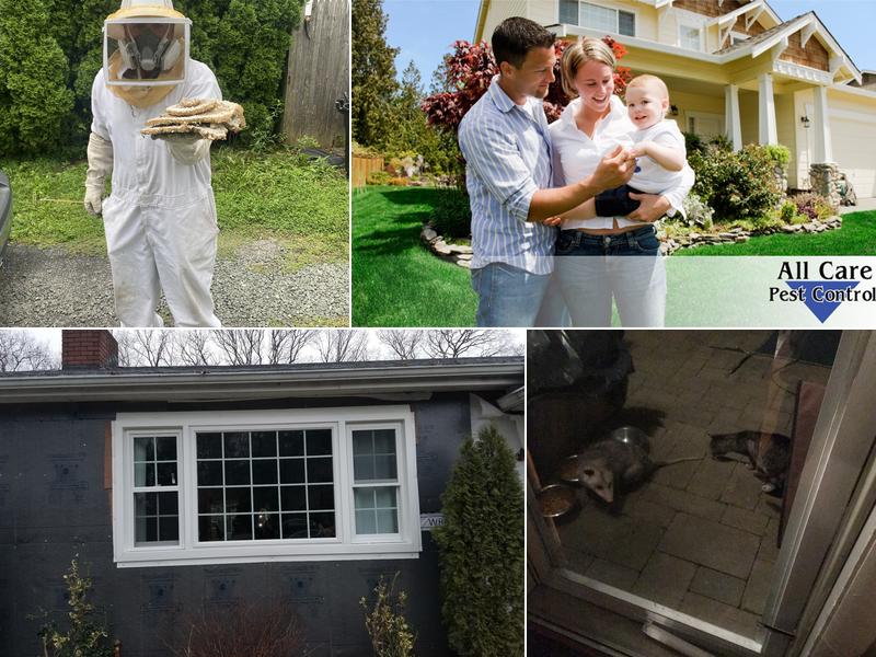 All Care Pest Control, Inc.