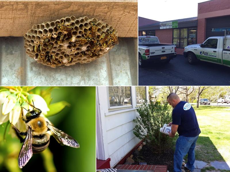 EcoTech Pest Control Inc.