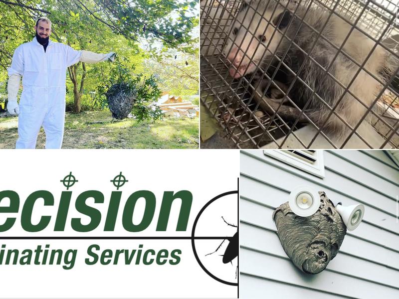 Precision Exterminating Services, Inc.