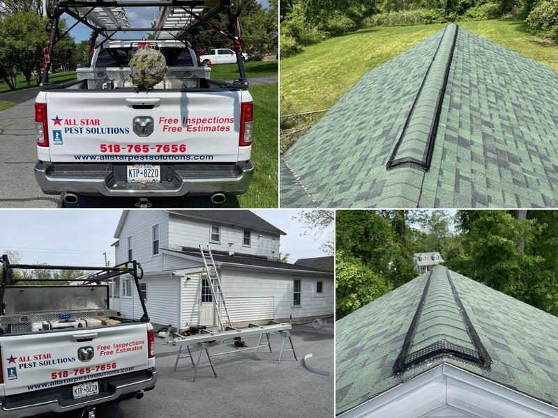 All Star Pest Solutions