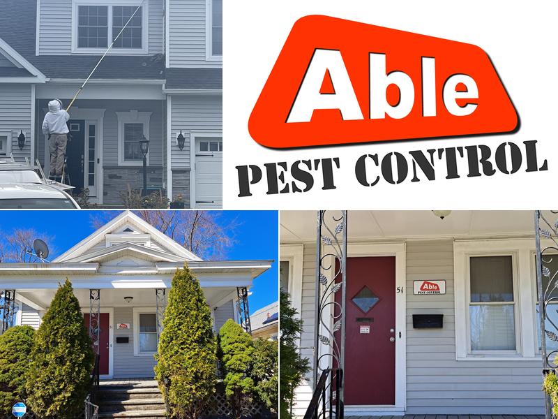 Able Pest Control
