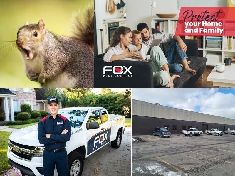 Fox Pest Control - Rochester