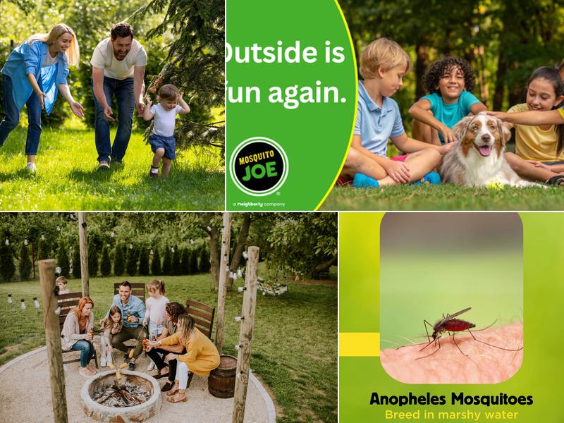 Mosquito Joe of Eastern Suffolk