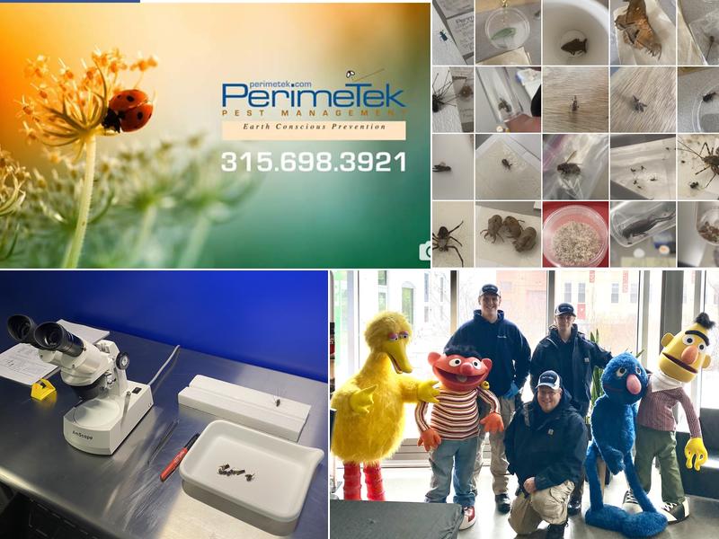 Perimetek Pest Management, Corp