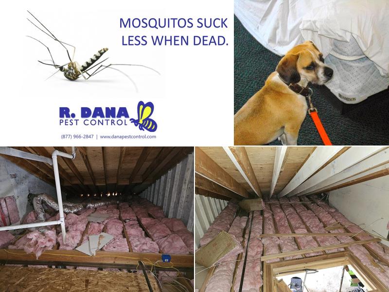 R. Dana Pest Control