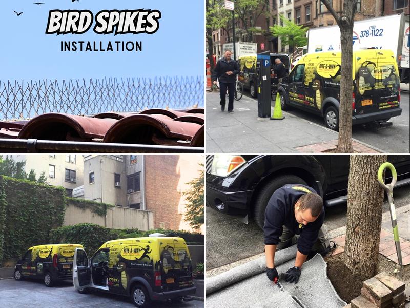 Rite-A-Way Pest Control