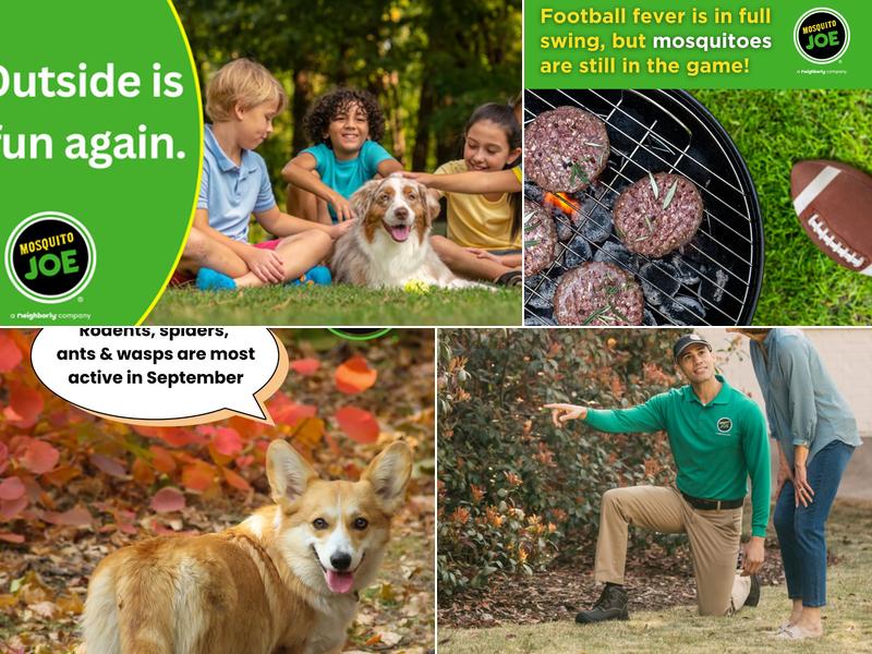 Mosquito Joe of the Greater Buffalo Region