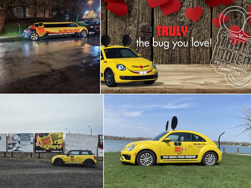 Truly Nolen Pest Control