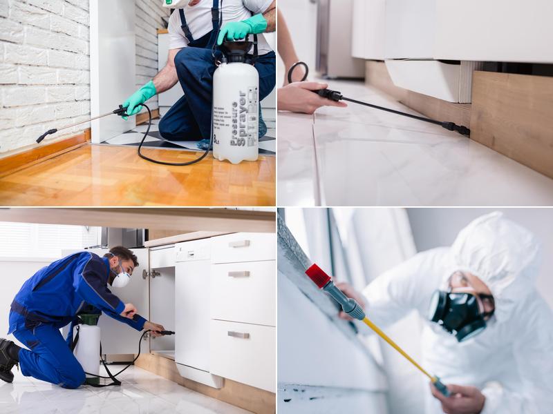 Five Boroughs Pest Control