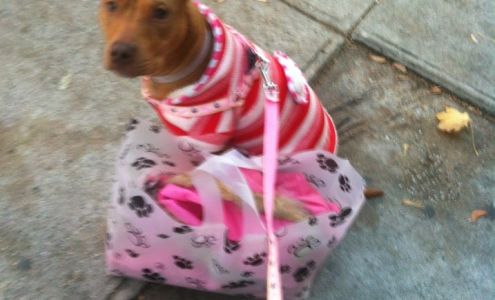 betancourt pest management corporation.