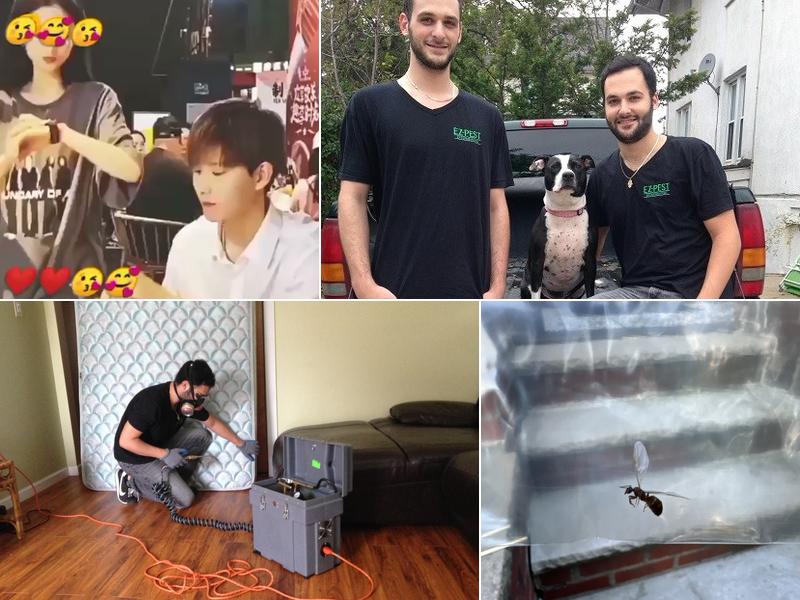 EZ Bed Bug Exterminator Brooklyn