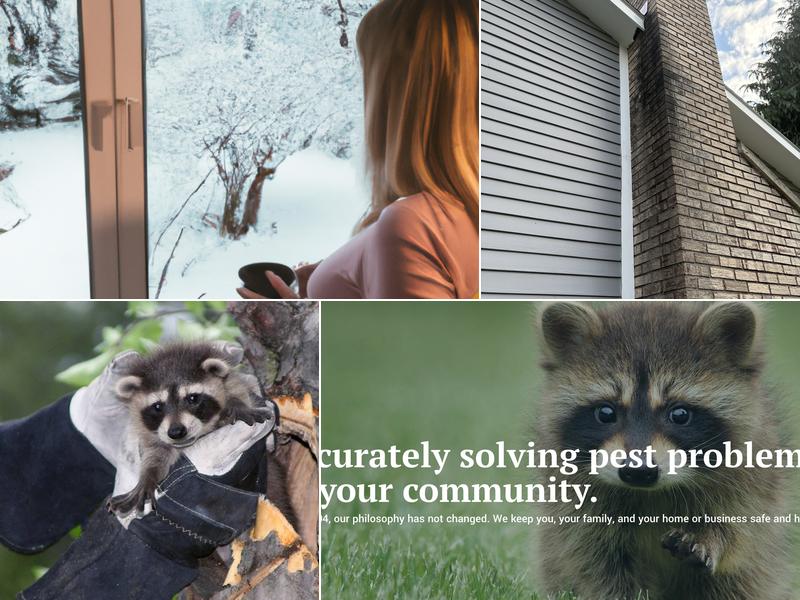 Accurate Pest Control