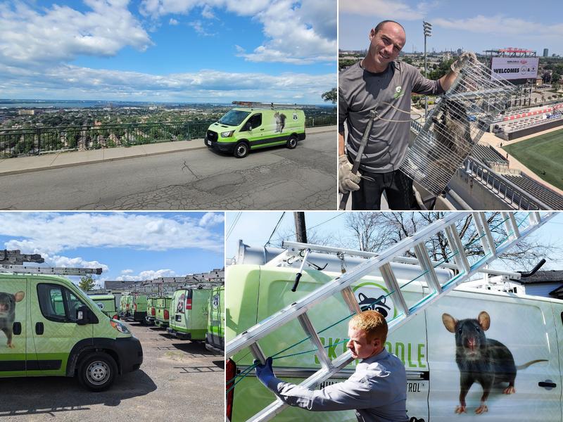 Skedaddle Humane Wildlife Control