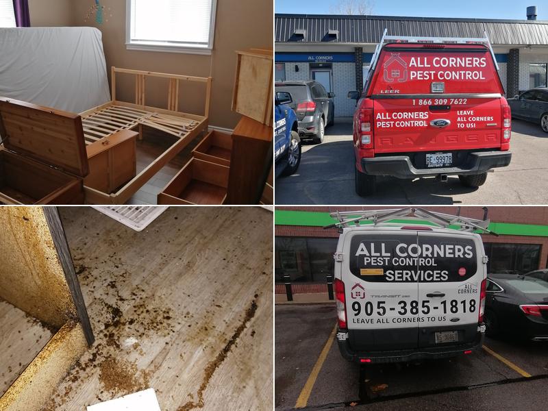 All Corners Pest Control