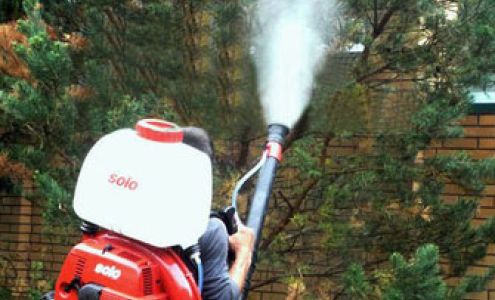 Masters Exterminating & Pest