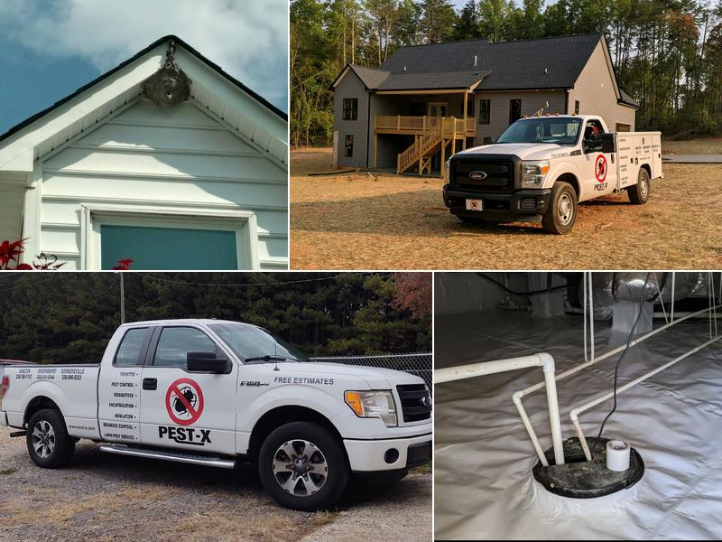 Pest-X Exterminating