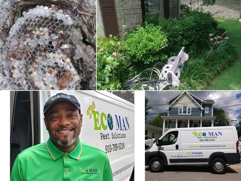 Eco Man Pest Solutions