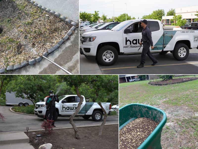Hawx Pest Control
