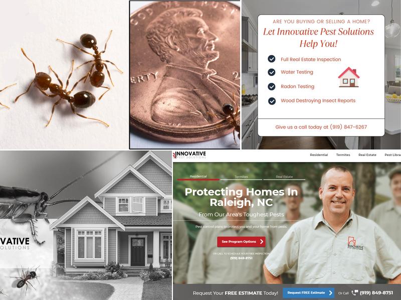 Innovative Pest Solutions