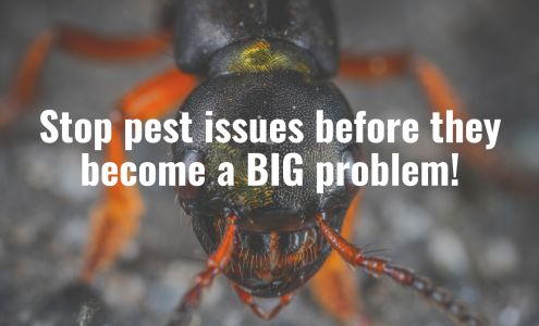 Advance Pest Control