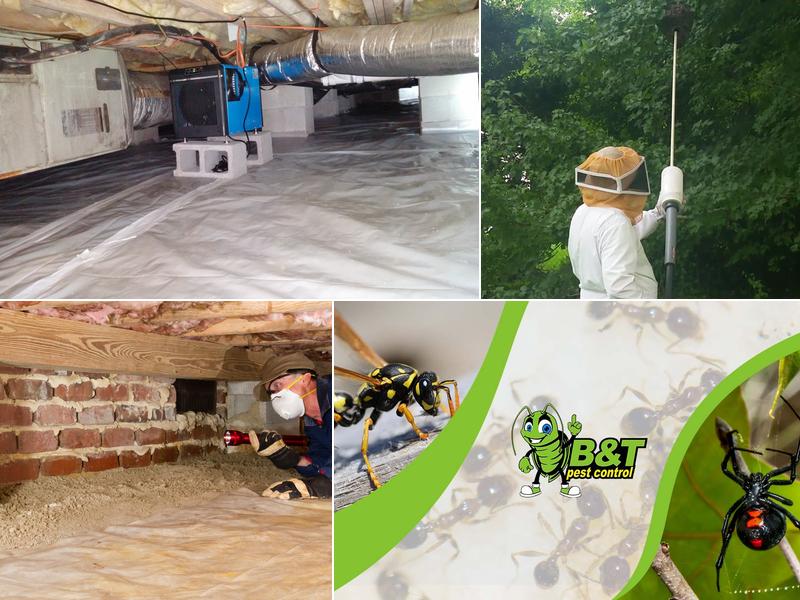 B&T Pest Control, Inc