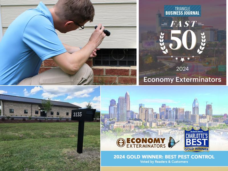 Economy Exterminators