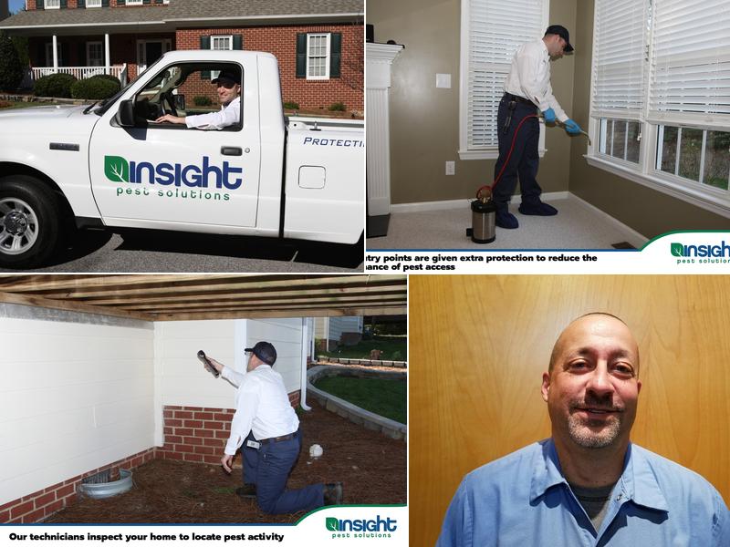 Insight Pest Solutions - Wilmington, NC