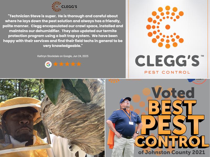 Clegg’s Termite & Pest Control - Greenville