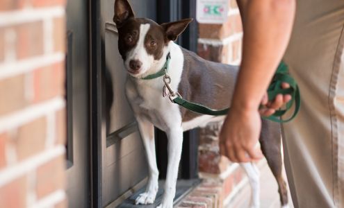 Killingsworth Environmental