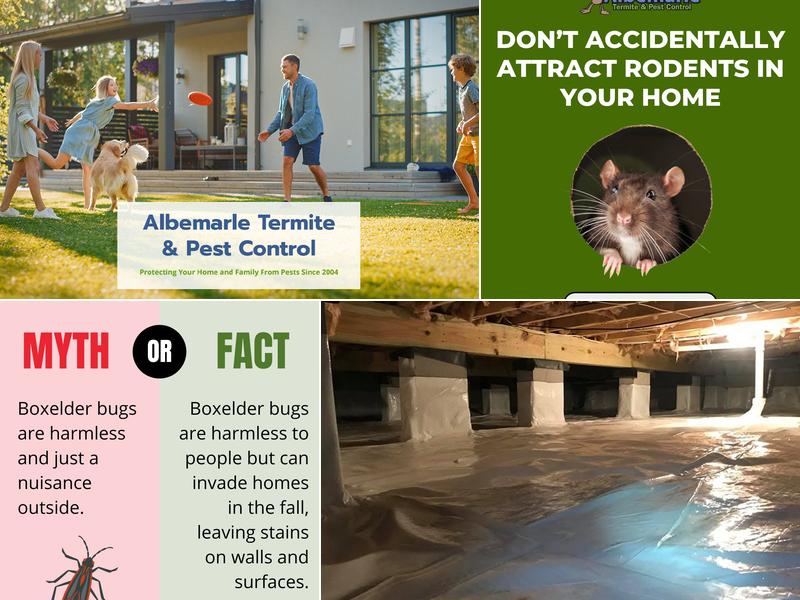 Albemarle Termite & Pest Control, Inc.
