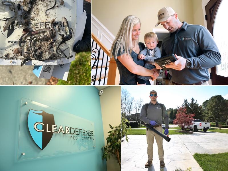 ClearDefense Pest Control