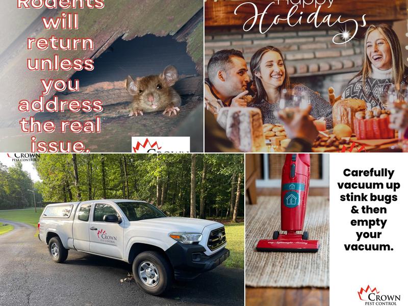 Crown Pest Control