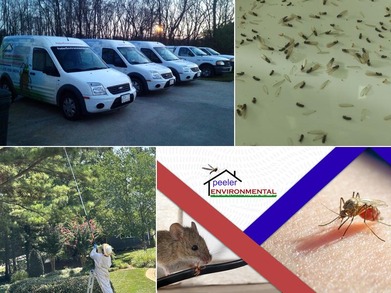 Peeler Environmental