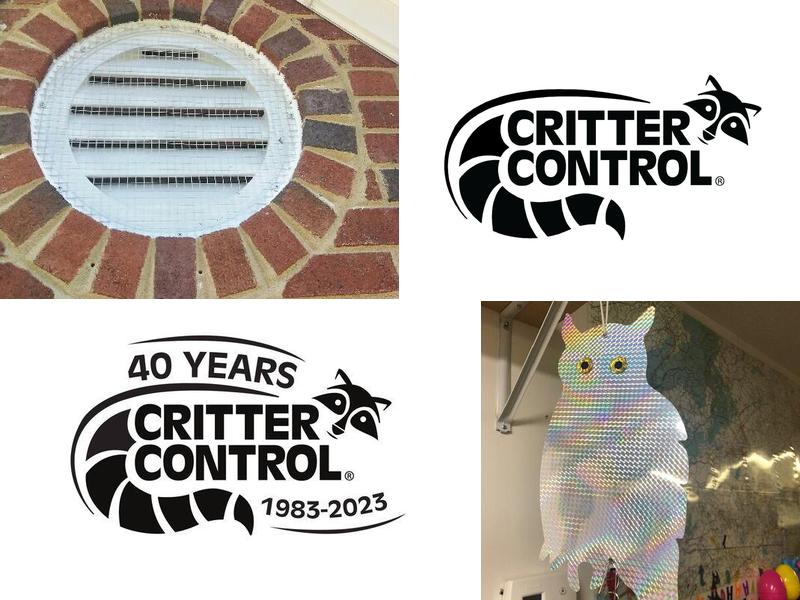 critter control charlotte