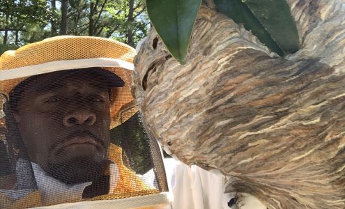 Clegg’s Termite & Pest Control - Raleigh