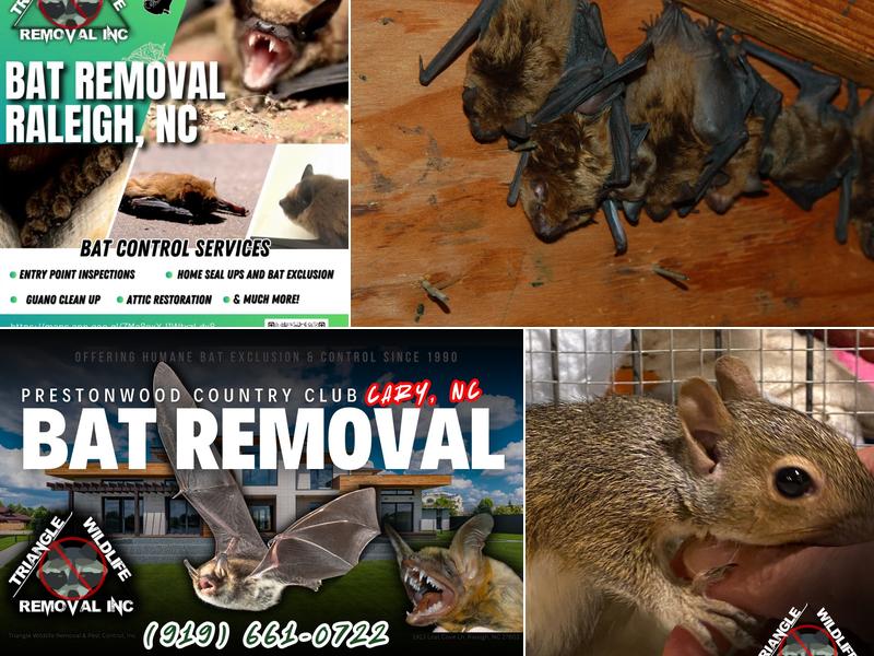 Triangle Wildlife Removal & Pest Control, Inc.
