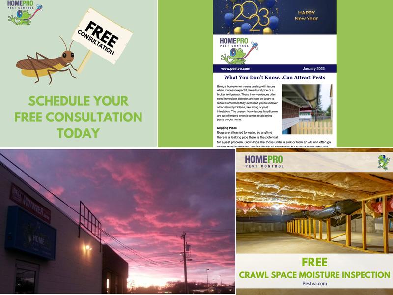 HomePro Pest Control