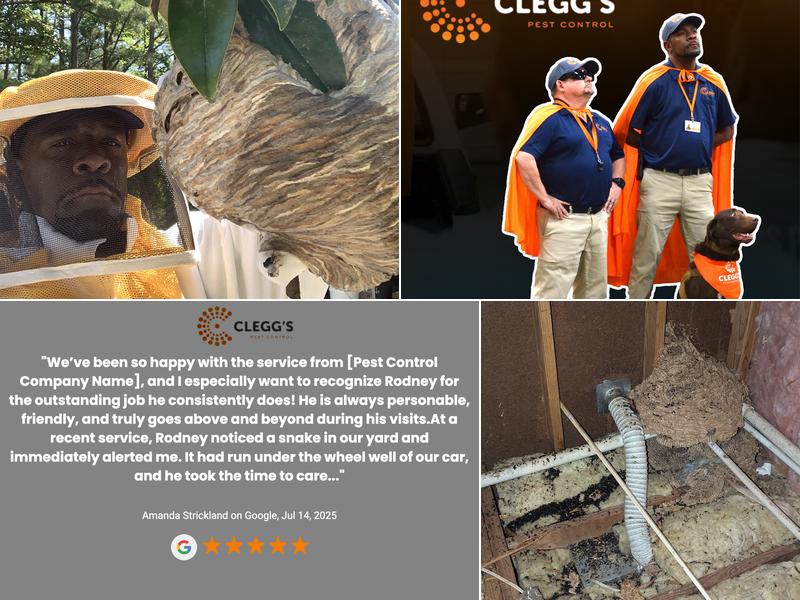 Clegg’s Termite & Pest Control - Charlotte