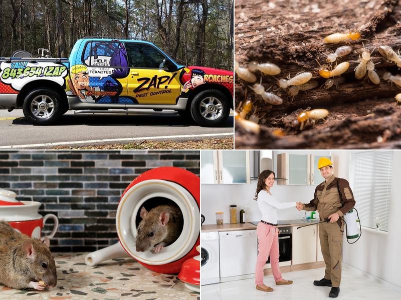 Zap Pest Control, Inc.