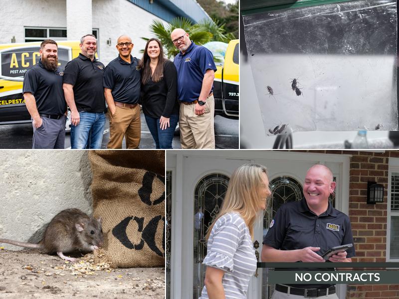 Accel Pest & Termite Control