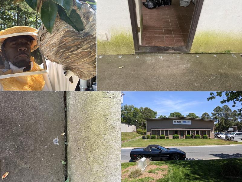 Clegg’s Termite & Pest Control - Durham