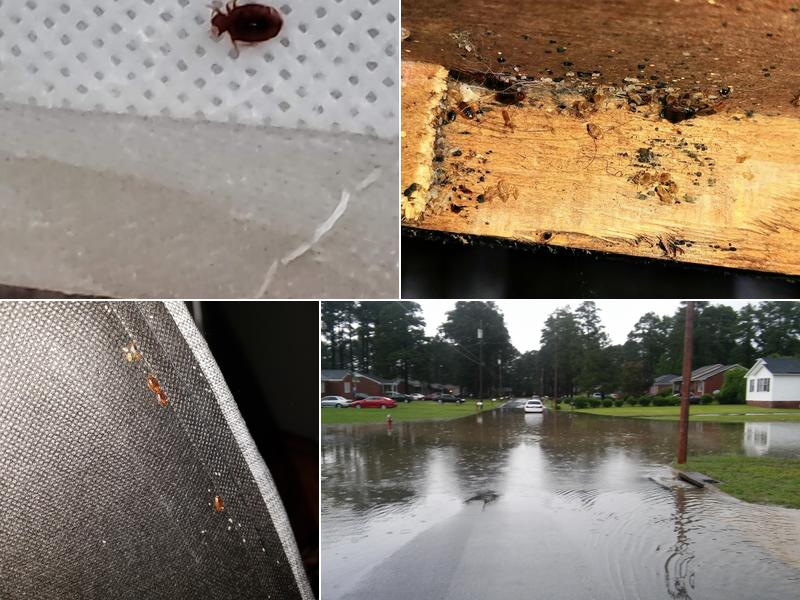 Barnhill Pest Control Inc