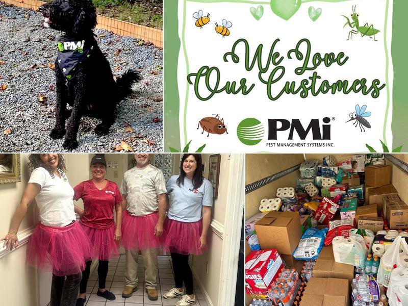 Pest Management Systems, Inc.