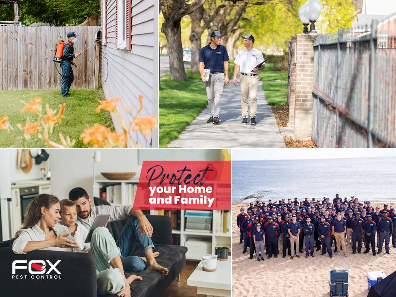 Fox Pest Control - Chesapeake